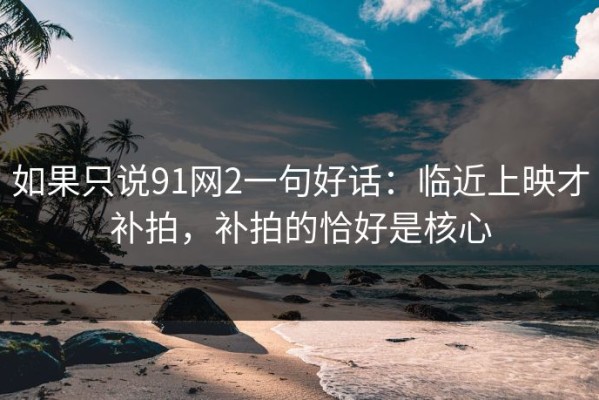 如果只说91网2一句好话：临近上映才补拍，补拍的恰好是核心