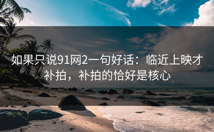 如果只说91网2一句好话：临近上映才补拍，补拍的恰好是核心