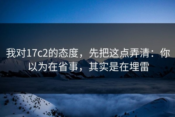 我对17c2的态度，先把这点弄清：你以为在省事，其实是在埋雷