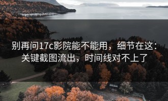 别再问17c影院能不能用，细节在这：关键截图流出，时间线对不上了