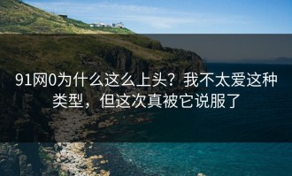 91网0为什么这么上头？我不太爱这种类型，但这次真被它说服了