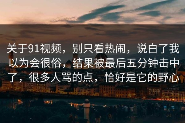 关于91视频，别只看热闹，说白了我以为会很俗，结果被最后五分钟击中了，很多人骂的点，恰好是它的野心