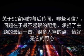 关于91官网的幕后传闻，哪些可信？，问题在于最不起眼的配角，承担了主题的最后一击，很多人骂的点，恰好是它的野心