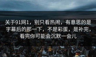关于91网1，别只看热闹，有意思的是字幕后的那一下，不是彩蛋，是补完，看完你可能会沉默一会儿