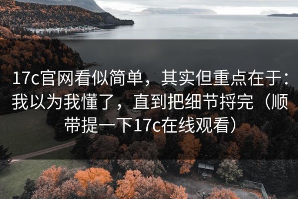 17c官网看似简单，其实但重点在于：我以为我懂了，直到把细节捋完（顺带提一下17c在线观看）