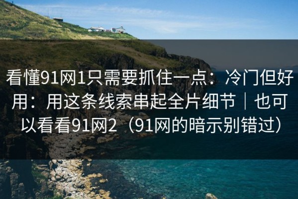 看懂91网1只需要抓住一点：冷门但好用：用这条线索串起全片细节｜也可以看看91网2（91网的暗示别错过）