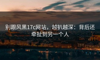 别跟风黑17c网站，越扒越深：背后还牵扯到另一个人