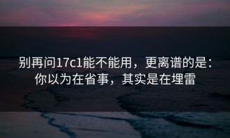 别再问17c1能不能用，更离谱的是：你以为在省事，其实是在埋雷