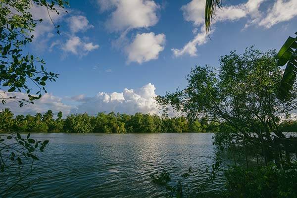 新91视频被低估的原因很简单：它不完美，可那种真诚太少见（顺便对比91网页版）