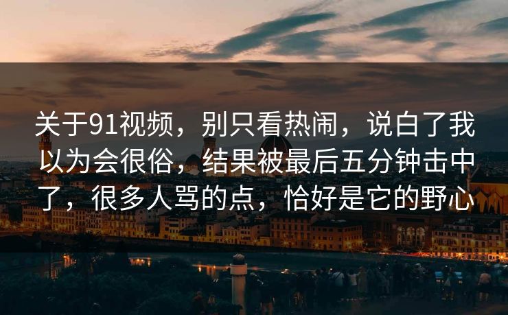 关于91视频，别只看热闹，说白了我以为会很俗，结果被最后五分钟击中了，很多人骂的点，恰好是它的野心