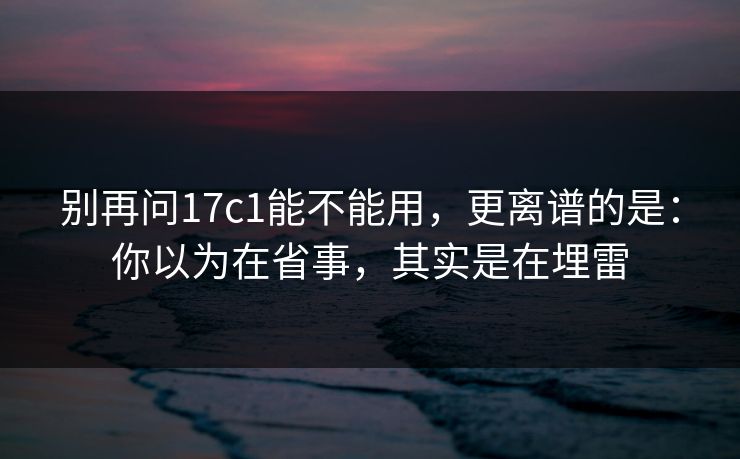 别再问17c1能不能用，更离谱的是：你以为在省事，其实是在埋雷