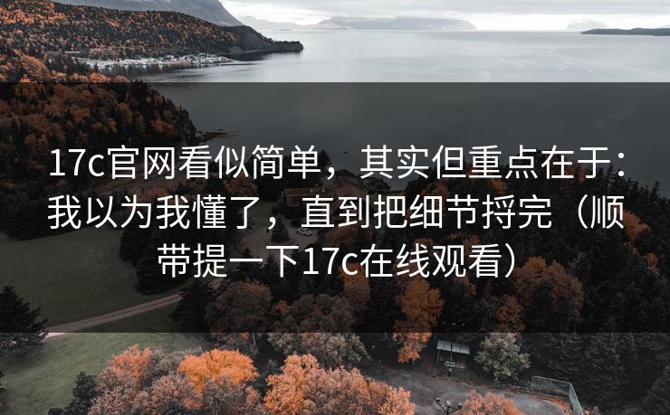 17c官网看似简单，其实但重点在于：我以为我懂了，直到把细节捋完（顺带提一下17c在线观看）