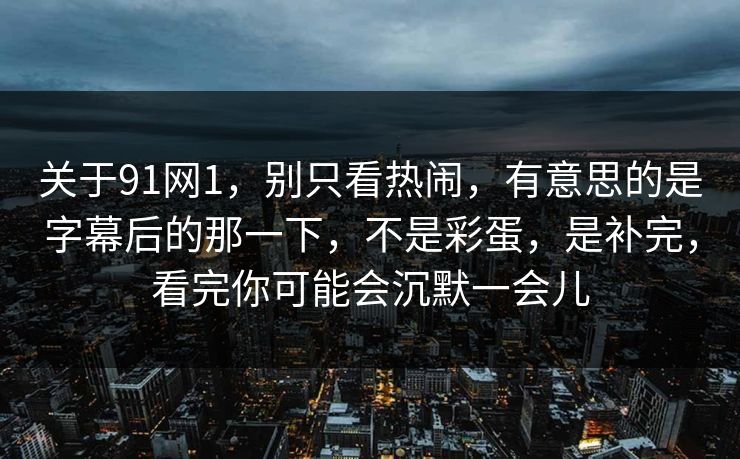 关于91网1，别只看热闹，有意思的是字幕后的那一下，不是彩蛋，是补完，看完你可能会沉默一会儿